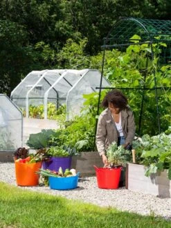 3-Season Plant Protection Tent, 3' X 6' -Gardenify Store 35 592 0181 1