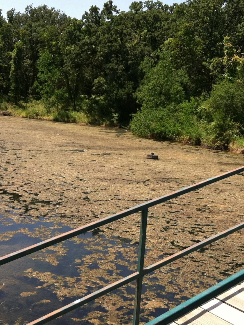 Blast, 2,500 Gallon, 5 Packets 3 Blast, 2,500 Gallon, 5 Packets - Image 3