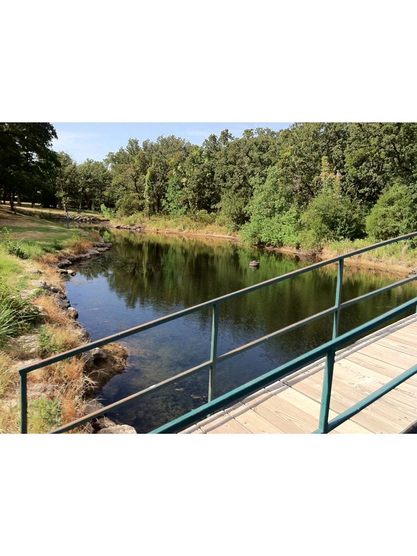 Blast, 2,500 Gallon, 5 Packets 2 Blast, 2,500 Gallon, 5 Packets - Image 2