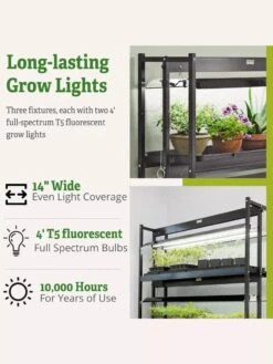 3-Tier Sunlite® Garden 12 3-Tier Sunlite® Garden -Gardenify Store 39 357 66