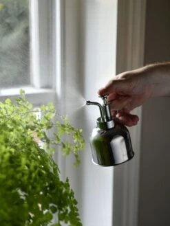 Indoor Plant Mister 14 Indoor Plant Mister -Gardenify Store 3 4 crop 8612962 02V tif