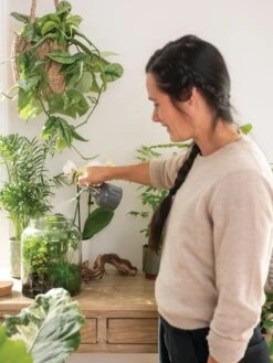 Indoor Plant Mister 15 Indoor Plant Mister -Gardenify Store 3 4 crop 8612962 3792