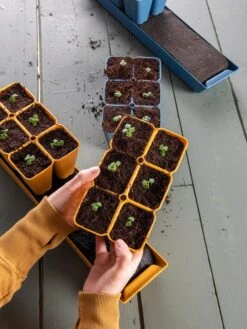 Gardener's Best® XL Seed Starting Kit 19 Gardener's Best® XL Seed Starting Kit -Gardenify Store 40 135 6186