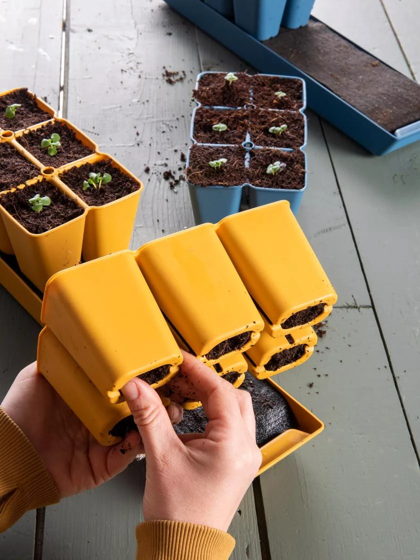 Gardener's Best® XL Seed Starting Kit 11 Gardener's Best® XL Seed Starting Kit - Image 11