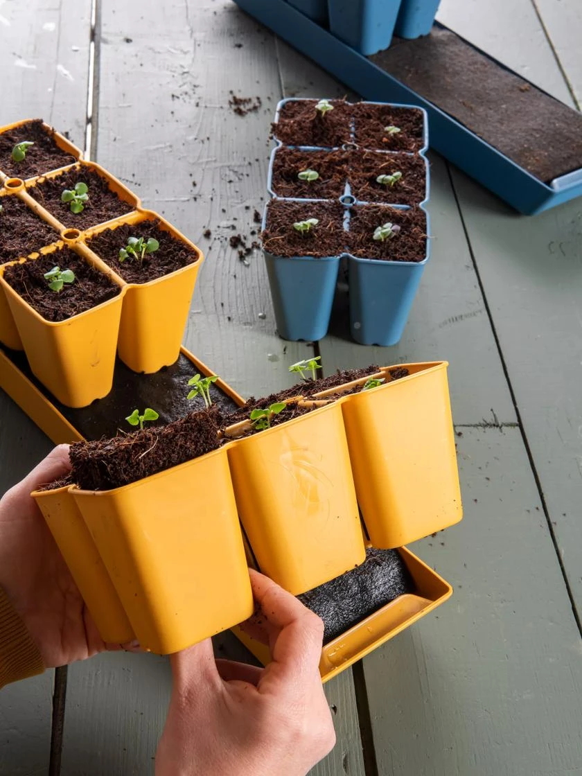 Gardener's Best® XL Seed Starting Kit 10 Gardener's Best® XL Seed Starting Kit - Image 10