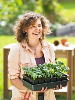 Growease Seed Starter Kit -Gardenify Store 8589987 0446 tif