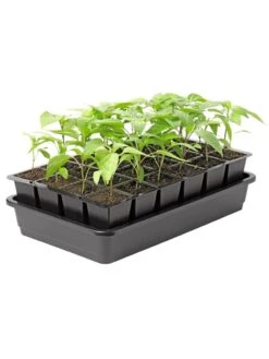 Growease Seed Starter Kit -Gardenify Store 8589987 1153 tif