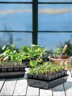 Growease Seed Starter Kit -Gardenify Store 8589987 7871 tif