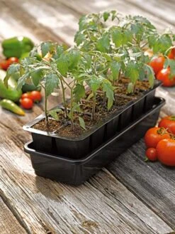 Growease Seed Starter Kit -Gardenify Store 8589988 1056 tif