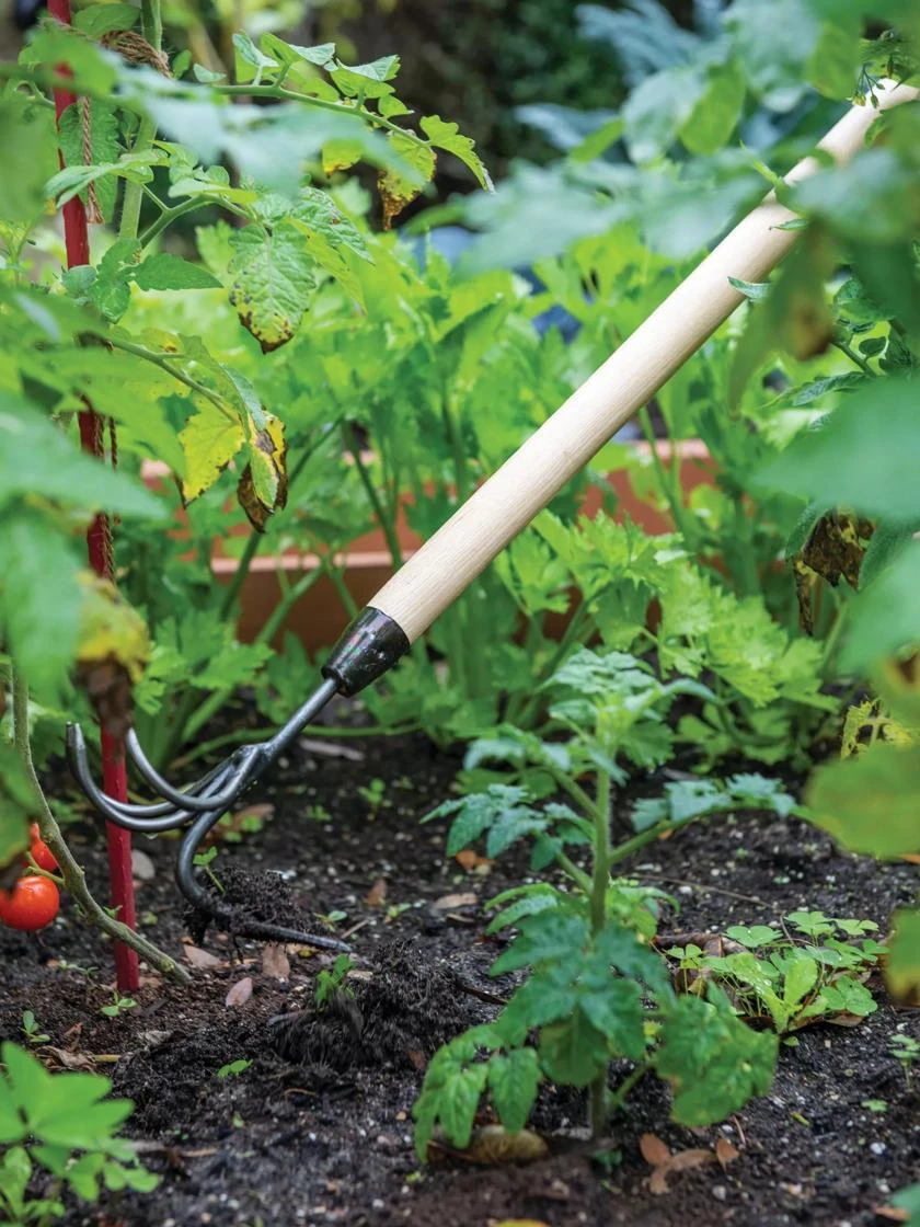 Gardener's Lifetime Long-Handled Double Tool 1 Gardener's Lifetime Long-Handled Double Tool
