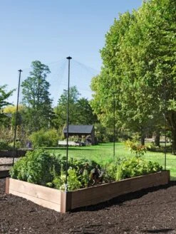 Protection Stakes For Netting, Set Of 4 8 Protection Stakes For Netting, Set Of 4 -Gardenify Store 8594434 0015 tif