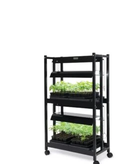 LED SunLite® Compact 2-Tier Garden 10 LED SunLite® Compact 2-Tier Garden -Gardenify Store 8595556 10132 tif