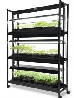 LED SunLite® High Intensity 3-Tier Garden 8 LED SunLite® High Intensity 3-Tier Garden -Gardenify Store 8596024 10201 tif