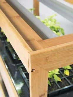 Bamboo LED Grow Light Garden For Succulents And Seeds 15 Bamboo LED Grow Light Garden For Succulents And Seeds -Gardenify Store 8597720 7795 tif 1