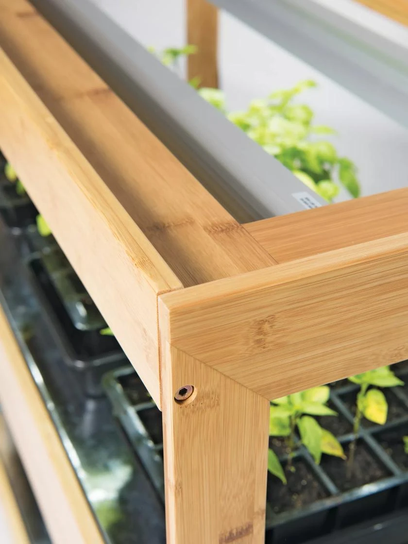 Bamboo LED Grow Light Garden For Succulents And Seeds 5 Bamboo LED Grow Light Garden For Succulents And Seeds - Image 5