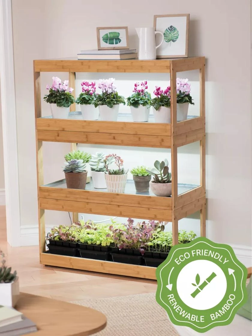 Bamboo LED Grow Light Garden For Succulents And Seeds 1 Bamboo LED Grow Light Garden For Succulents And Seeds