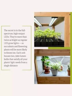 Bamboo LED Grow Light Garden For Succulents And Seeds 20 Bamboo LED Grow Light Garden For Succulents And Seeds -Gardenify Store 8598084 7