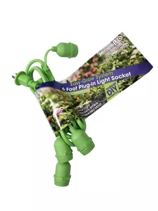 Miracle LED 4-Socket String Light 1 Miracle LED 4-Socket String Light