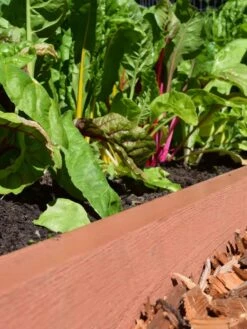 Straight Landscape Edging Kit With 2" Boards -Gardenify Store 8599408 02V tif