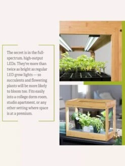 Bamboo Mini LED Grow Light Garden 18 Bamboo Mini LED Grow Light Garden -Gardenify Store 8599624 06