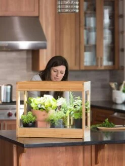 Bamboo Mini LED Grow Light Garden 13 Bamboo Mini LED Grow Light Garden -Gardenify Store 8599624 12532 tif