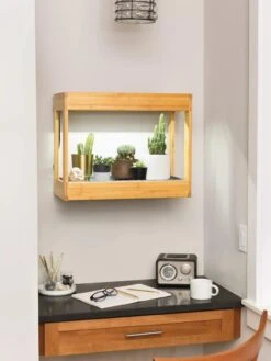 Bamboo Mini LED Grow Light Garden 12 Bamboo Mini LED Grow Light Garden -Gardenify Store 8599624 12872 tif