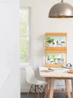 Bamboo Mini LED Grow Light Garden 14 Bamboo Mini LED Grow Light Garden -Gardenify Store 8599624 13244 tif