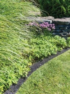 Recycled Rubber Mulch Edging, 12’ X 6” -Gardenify Store 8599854 0897 tif