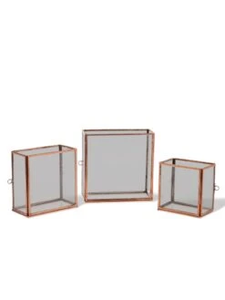 Copper And Glass Terrariums, Set Of 3 5 Copper And Glass Terrariums, Set Of 3 -Gardenify Store 8609212 0851 tif