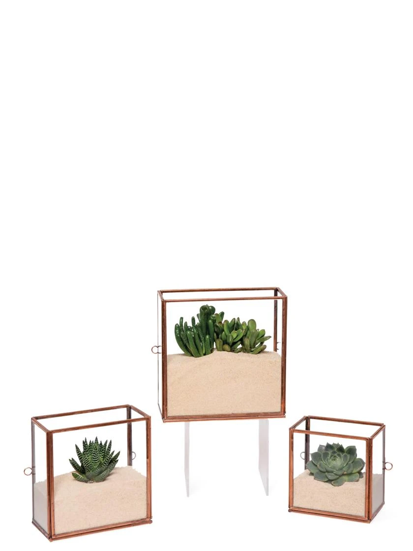 Copper And Glass Terrariums, Set Of 3 2 Copper And Glass Terrariums, Set Of 3 - Image 2