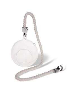 Mini Blown-Glass Hanging Terrarium, Set Of 2 -Gardenify Store 8609218 4734