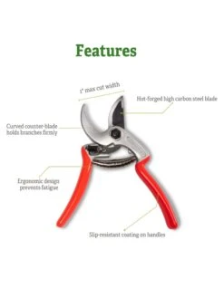 Castellari Mini Anvil Pruner -Gardenify Store 8612199 5