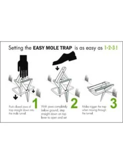 Easy Mole Trap -Gardenify Store 8612557 04v 1