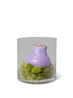 Gardenify Store 13 Gardenify Store -Gardenify Store 8612756 4937