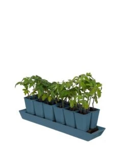 Gardener's Best® XL Seed Starting Kit 16 Gardener's Best® XL Seed Starting Kit -Gardenify Store 8613066 0029