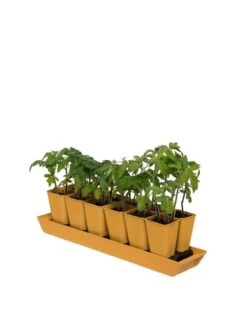 Gardener's Best® XL Seed Starting Kit 14 Gardener's Best® XL Seed Starting Kit -Gardenify Store 8613066 1029