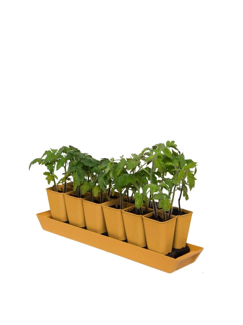 Gardener's Best® XL Seed Starting Kit 4 Gardener's Best® XL Seed Starting Kit - Image 4