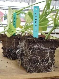 2-3/4" Square Cowpots 6-Packs, Set Of 4 -Gardenify Store GS37034 05