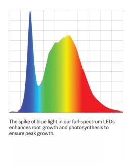 Bamboo LED Grow Light Garden For Succulents And Seeds 21 Bamboo LED Grow Light Garden For Succulents And Seeds -Gardenify Store LED ColorSpectrum grid PDP 4