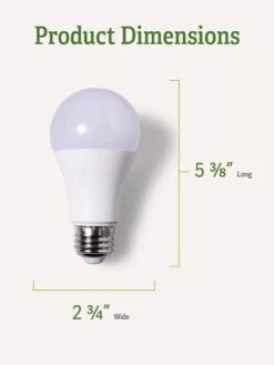 Gardenify Store 18 Gardenify Store -Gardenify Store Miracle Daylight Bulb