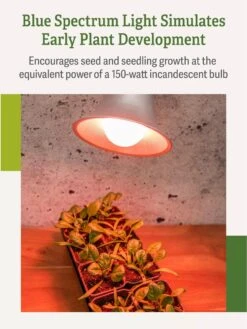 Miracle LED® Absolute Daylight™ Max Flowering Grow Light Bulb -Gardenify Store Miracle Daylight Bulb 4