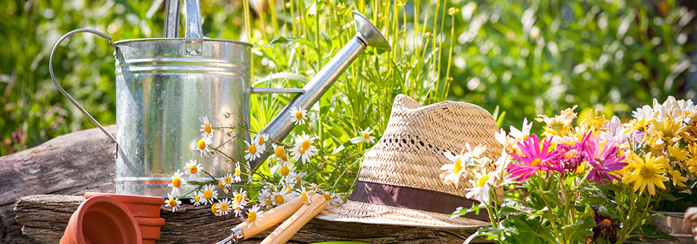 Gardenify Store -Gardenify Store banner747